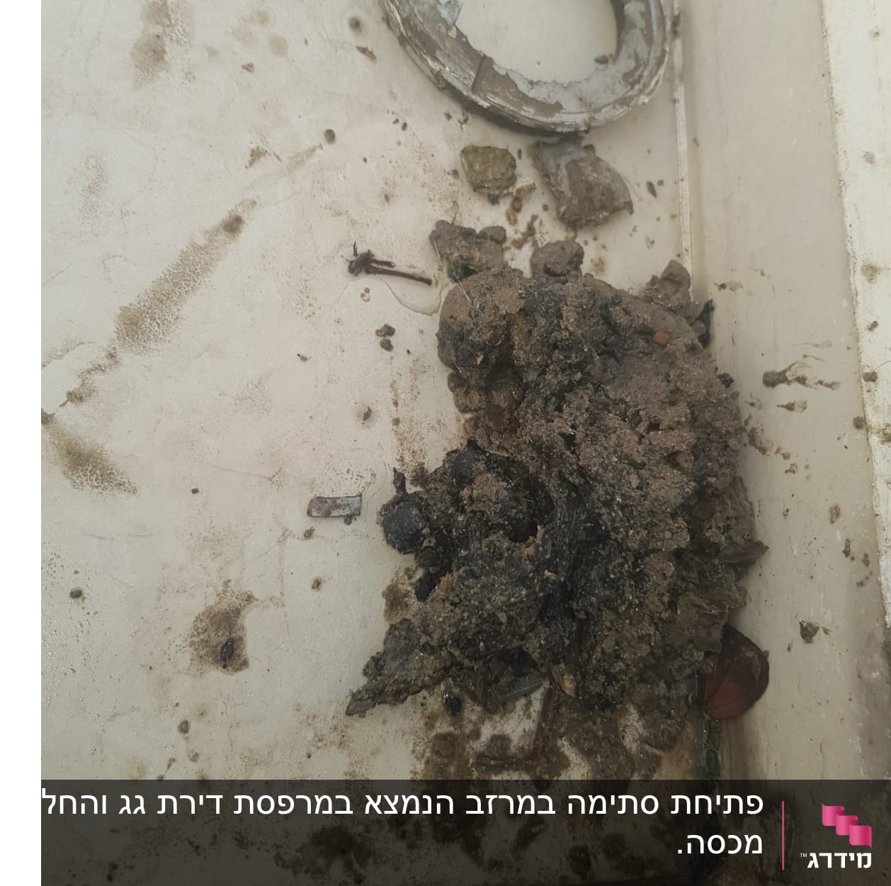 הגוש המוצק שסתם את המרזב